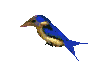 3D bird - Click image to download.