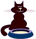Cat with bowl - Click image to download.