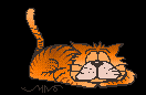 Lazy cat - Click image to download.