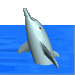 3D dolphin - Click image to download.