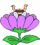 Bee_in_flower.gif - (5K)