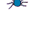 Blue spider - Click image to download.