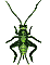 Grasshopper 2 - Click image to download.