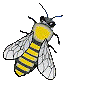 Big bee - Click image to download.