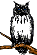Owl 3 - Click image to download.