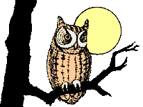 Owl on a branch - Click image to download.