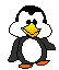 Penguin 3 - Click image to download.