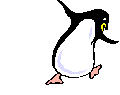 Funky penguin - Click image to download.