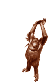 Ape with baloon - Click image to download.