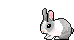 Little rabbit 3