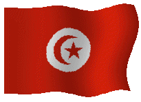 http://www.gifs.net/Animation11/Geography_and_History/International_Flags/tunisia.gif