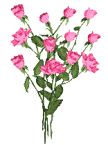 Bouque of pink rosses - Click image to download.