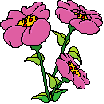 http://www.gifs.net/Animation11/Nature/Flowers/Three_poppies.gif