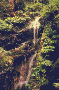 Waterfall_3.gif - (19K)